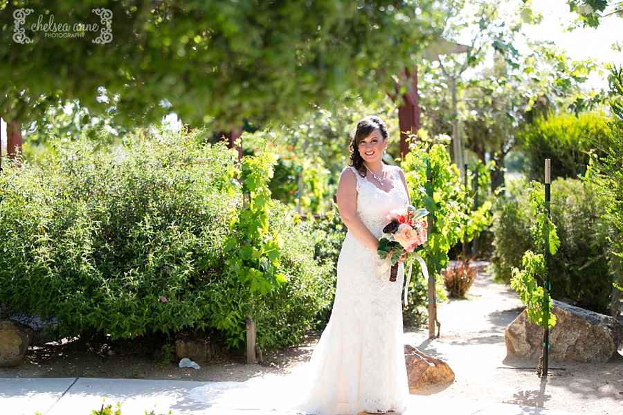 Elizabeth Carl Wiens Family Cellars Wedding Temecula Wedding Winery Wiens Family Cellars