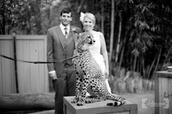 san-diego-zoo-safari-park-wedding-056