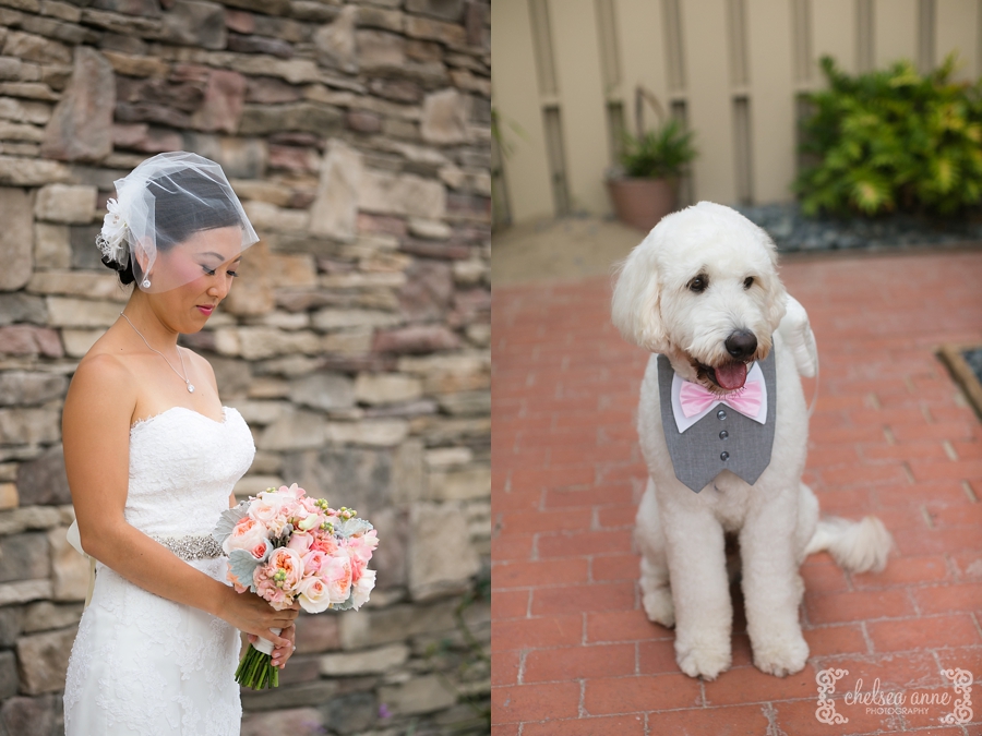 the crossings at carlsbad, carlsbad wedding, golf course wedding, chelsea anne photography, the crossings, outdoor wedding, daytime wedding, ring dog