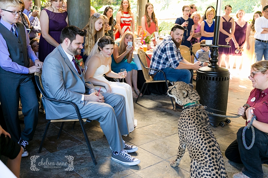 san-diego-safari-park-wedding-33